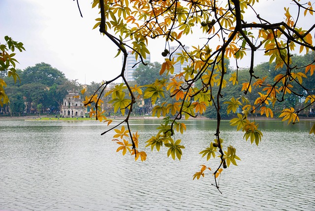 TA ĐI MỘT SỚM THU TÀN