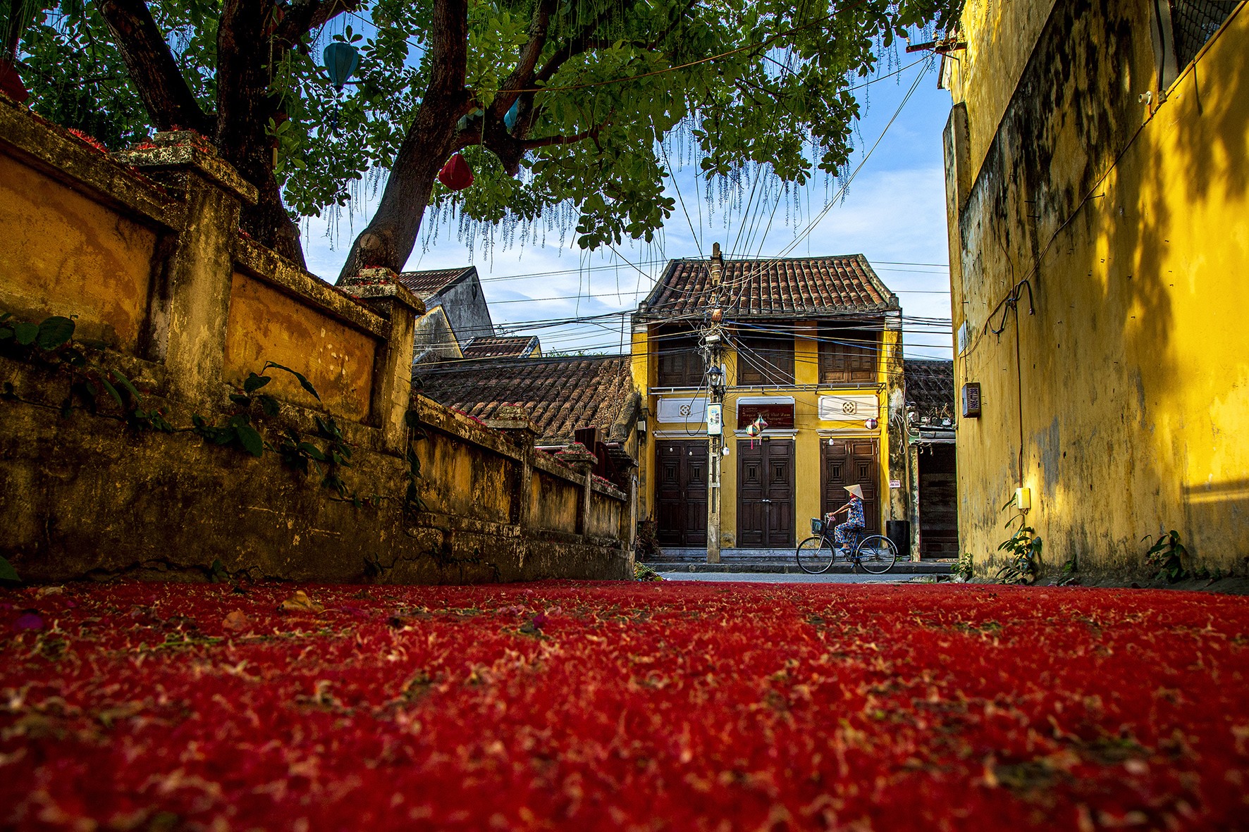 BÂNG KHUÂNG MỘT BUỔI CHIỀU VÀNG