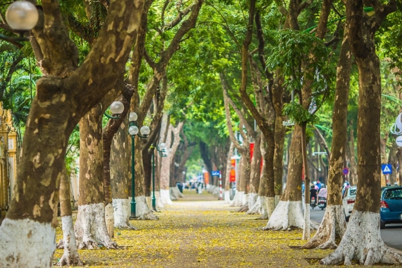 CHO QUANG HƯNG MÙA THU