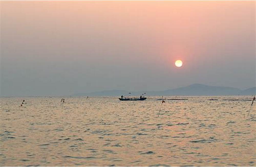 CƠN SAY CỦA TÌNH YÊU